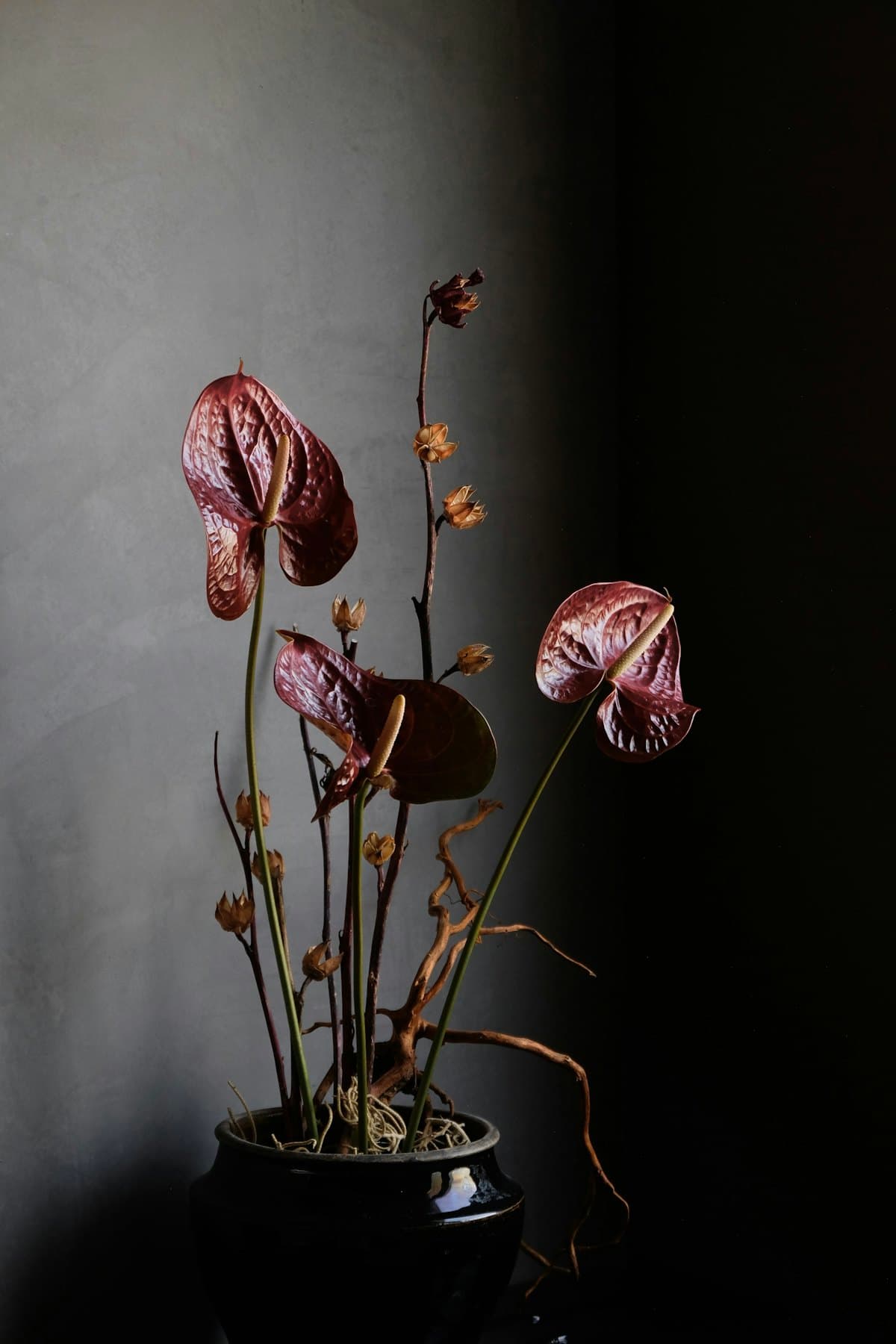 Low table arrangement with open structure and visible stems